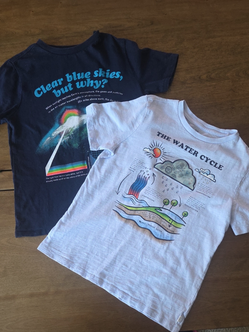 GAP Blue Water Cycle Graphic Tee and Navy Prism Sky Tee - Navy & Blue